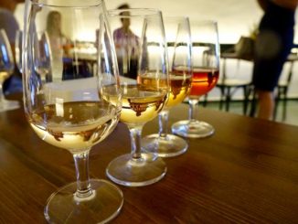Al via Cantine in centro, calici in alto per i 50 anni della DOC Torgiano