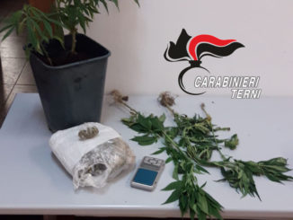 Arrestato dai carabinieri di Narni, aveva 200 grammi di marijuana