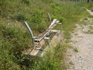 Parchi sporchi vandalizzati
