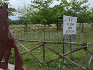 Cimitero per animali d'affezione, Camicia, Barelli ha fallito ancora