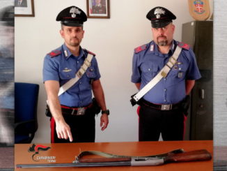Abbattono cinghiali, Carabinieri denunciano cacciatori abusivi, successo nell’Orvietano