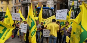 Manifestazione della Coldiretti, Ginetti e Verini con gli agricoltori umbri