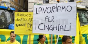 Lavoriamo per i cinghiali, agricoltori umbri con i trattori in piazza Italia a Perugia