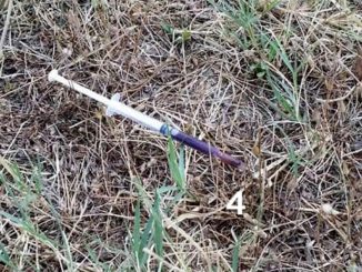 Droga Parco Chico Mendez, Emanuela Mori, immagini non devono lasciare indifferenti