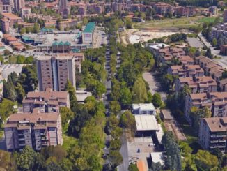 Su tagli e piantumazioni lavoriamo con l'Afor