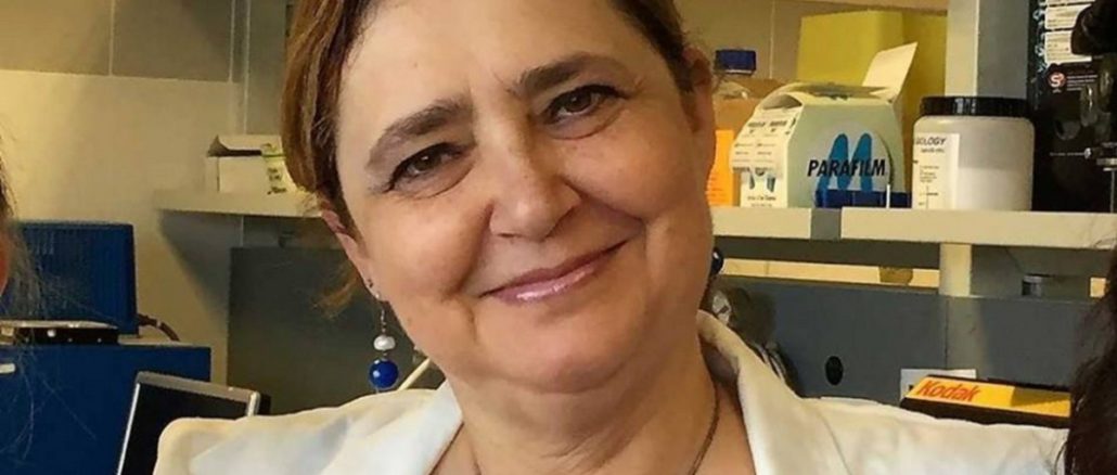 Premio "Ursula Grohmann", scuole secondarie: iscrizioni aperte