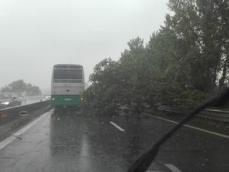 Maltempo Umbria, albero si schianta sulla E45, nessun ferito