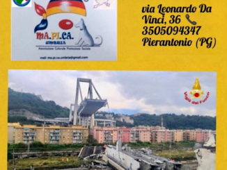 Crollo ponte Morandi, Mapica Umbria mette a disposizione ufficio legale
