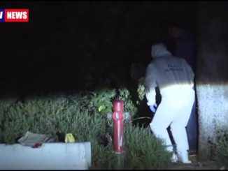 Neonato morto nel parcheggio a Terni per Cassazione è ipotesi infanticidio