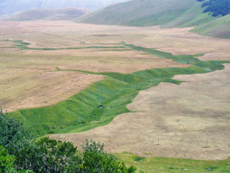 Sun Life, a Perugia progetto, biodiversità, reti ecologiche e paesaggio