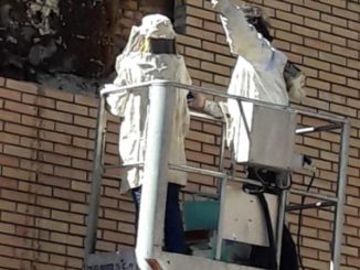 Rimosso un grande alveare alla scuola Nucula di Terni