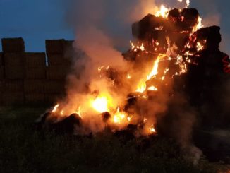 Incendio all'alba lungo via Settevalli a Perugia, a fuoco presse in un campo