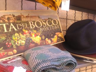 FESTA DEL BOSCO 2018 DALL’1 AL 4 NOVEMBRE A MONTONE