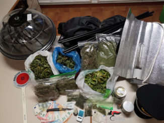 Coltiva marijuana in serra a casa, carabinieri arrestano un 20enne