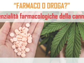 Cannabis terapeutica, farmaco o droga? Un convegno a Perugia