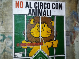 La foresta che avanza, protesta per l'arrivo a Terni del circo con animali