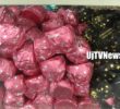 eurochocolate (15)