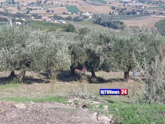 Travolto da motofalciatrice, un malore alla base dell'incidente