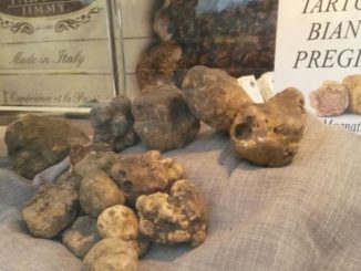 Pietralunga, si apre la mostra del mercato del tartufo e patata bianca