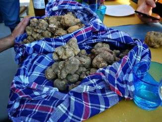Mostra mercato del tartufo e della patata bianca a Pietralunga