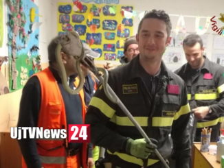 Vigili del fuoco catturano un serpente nella scuola materna di Castel del Piano