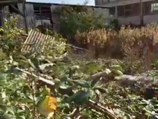 Ambiente, Camicia, discariche nelle periferie, guardie ecologiche in città pronte a multare