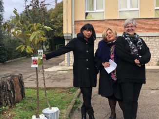 Militanti Foresta che Avanza con i ragazzi della FCA donano alberi all'Italia