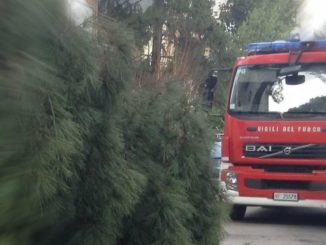 Grosso ramo si schianta sopra un'auto in via Enrico dal Pozzo a Perugia