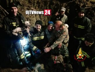 Vigili del fuoco salvano quattro cani, erano nella tana di un'istrice a Resina di Perugia