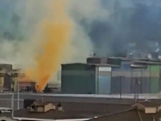 Fumo giallo Ast Terni, la foresta che avanza chiede maggiore vigilanza