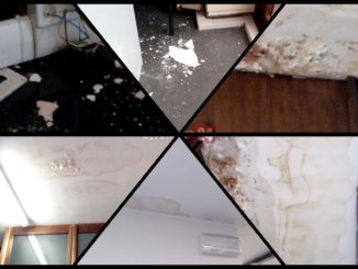 Degrado uffici, De Luca, siamo prossimi alla chiusura di Palazzo Spada? [Foto]