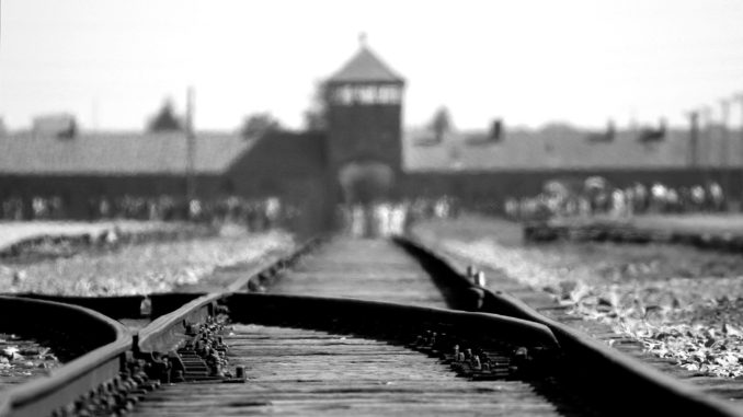 Liberazione dei cancelli di Auschwitz verità e memoria indelebili