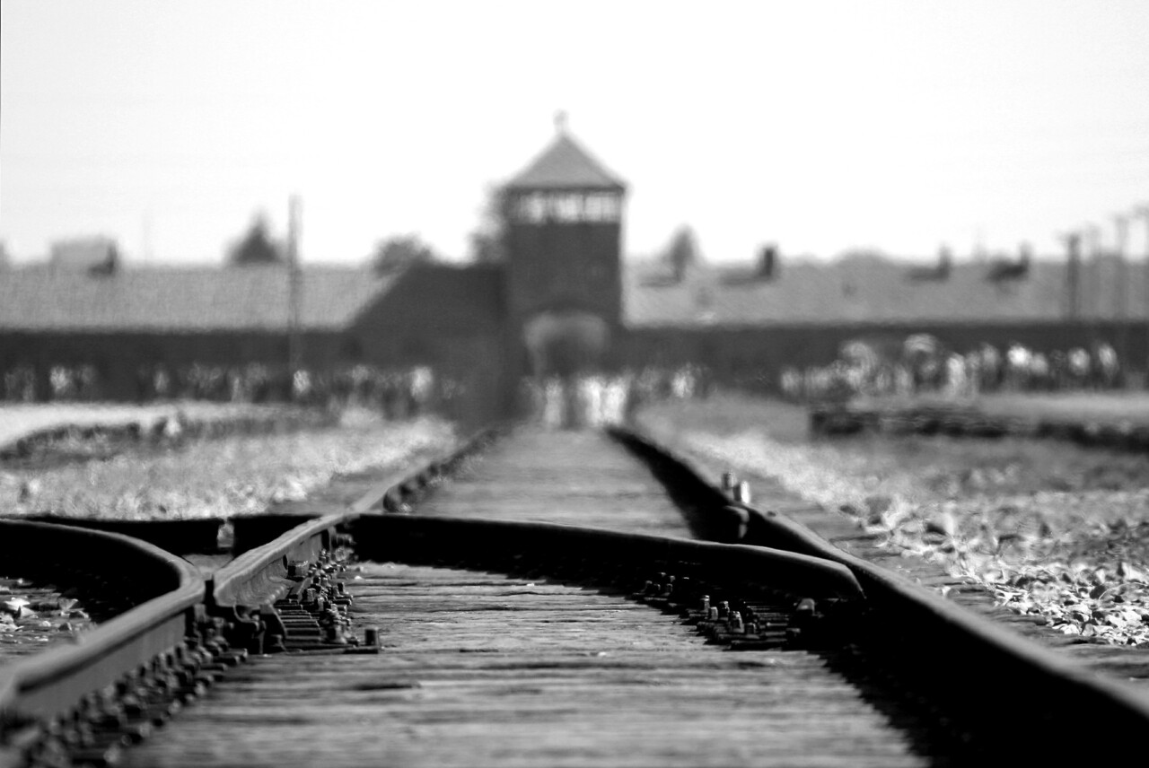 Liberazione dei cancelli di Auschwitz verità e memoria indelebili Liberazione dei cancelli di Auschwitz verità e memoria indelebili