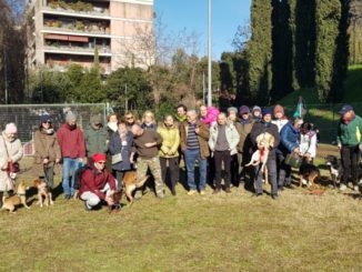 Far vivere il quartiere, al Parco della Pescaia attività per cani e padroni