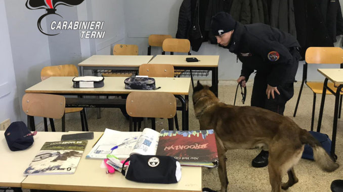 Droga nelle scuole, cinofili dei carabinieri trovano spinello a 17enne