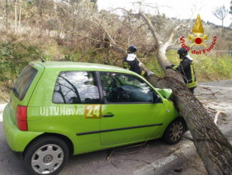 Vento infernale, altro albero si schianta su un'auto a Ponte San Giovanni, un ferito