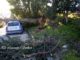 Tempesta di vento, alberi pericolanti o caduti in diverse zone dell'Umbria