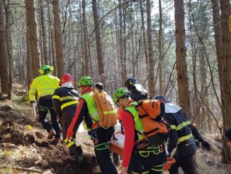 Boscaiolo infortunato in un bosco a Fossato di Vico