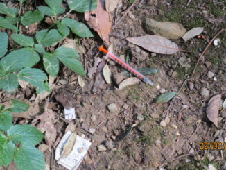 Al parco della Pescaia? Tamburi, si fa di ogni erba un fascio!