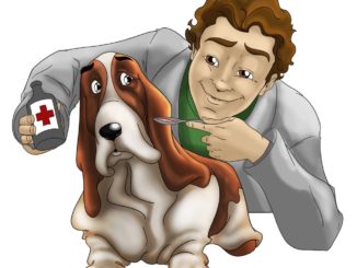 Veterinario gratis per chi adotta un amico a quattro zampe