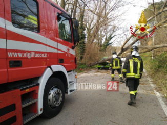 Muore folgorato per salvare i suoi cani, erano caduti in un corso d'acqua