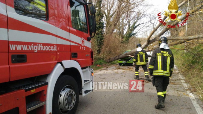 Muore folgorato per salvare i suoi cani, erano caduti in un corso d'acqua