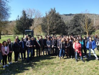 Albero della cittadinanza al percorso verde di Pian di Massiano