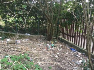 Parco della Verbanella tra siringhe e preservativi usati eppure