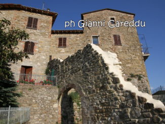 Erika Borghesi, Pd, Civitella Benazzone abbandonata da Amministrazione