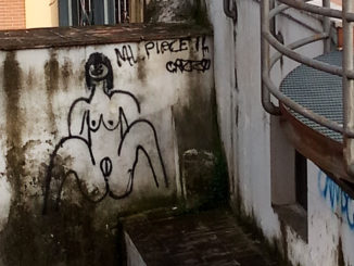 La Foresta che avanza e CasaPound denuncia il degrado che regna al Caos