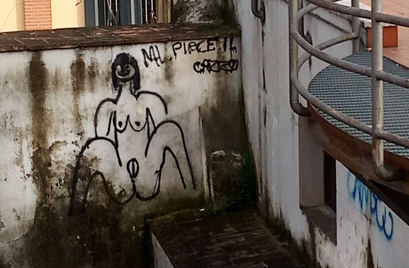 La Foresta che avanza e CasaPound denuncia il degrado che regna al Caos