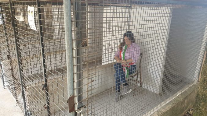 Sindaco di Montefranco si chiude in gabbia per difendere i cani