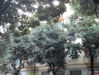 La foresta di Terni, è la denuncia di un cittadino arrabbiato e attento