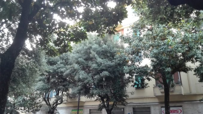 La foresta di Terni, è la denuncia di un cittadino arrabbiato e attento